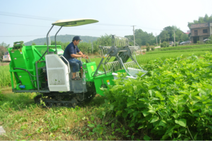 湖南省beat365正版盛泰农业科技有限公司