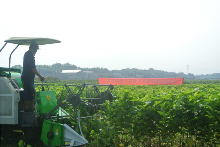 湖南省beat365正版盛泰农业科技有限公司